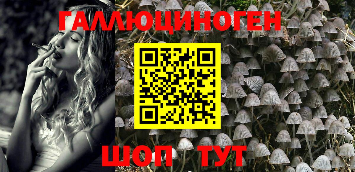 Кашира  Псилоцибиновые грибы Cubensis  Вход с VPN  Галлюциногенные грибы Psilocybe 